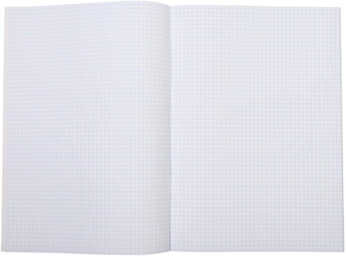 Schrift Qbasic A4 ruit 5mm 80blz 70gr assorti-3