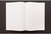 Schrift Kangaro A4 ruit 10mm 80pagina's 60gr pastel assorti 5 stuks-4