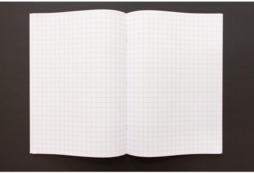 Schrift Kangaro A4 ruit 10mm 80pagina's 60gr pastel assorti 5 stuks-4