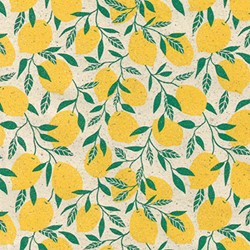 Apparaatrol Little Lemon 50cmx200m