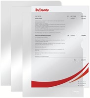 Insteekmap L-model Esselte standaard copy safe 0.11mm PP A4 glashelder 100 stuks-9
