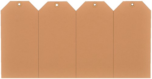 Label karton nr 4 200gr 50x100mm chamois 1000 stuks-2